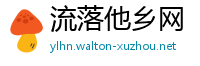 流落他乡网